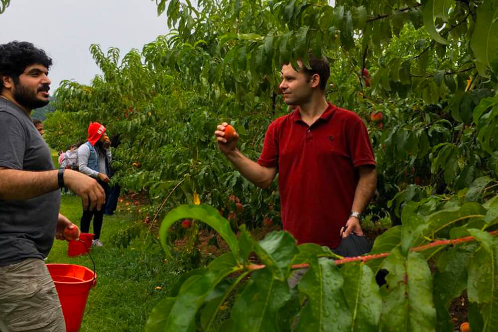 Just English LB Long Branch Ramo