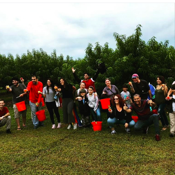 Our students went to peach picking in Battleview Orchard.